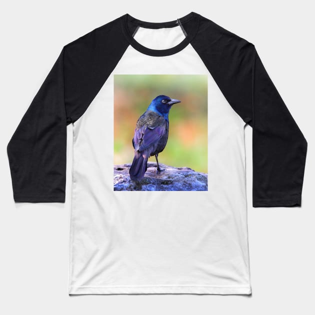 Grackle Sparkle Baseball T-Shirt by Jim Cumming